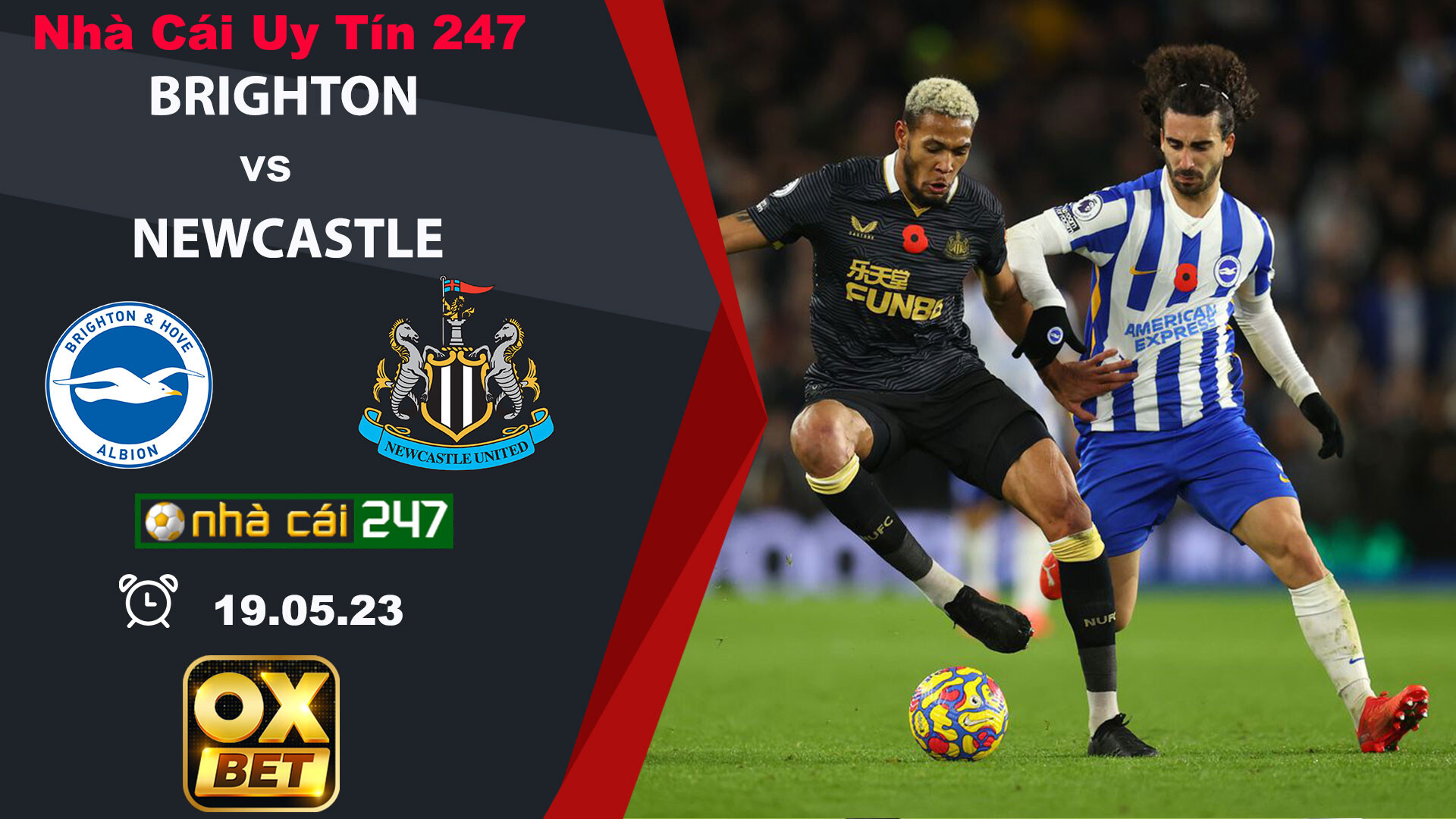 Kèo nhà cái Newcastle vs Brighton – 1h30 ngày 19/05/2023